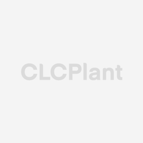 Attrezzature per la produzione di blocchi CLC