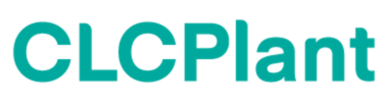 Soluzione Completa per Impianti di Blocchi in Calcestruzzo Cellulare CLC